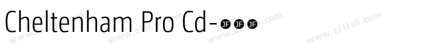 Cheltenham Pro Cd字体转换